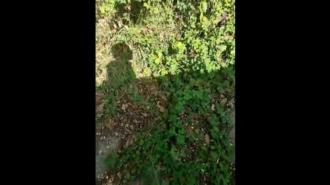 two_hot_cats_love @ stripchat on 20231022