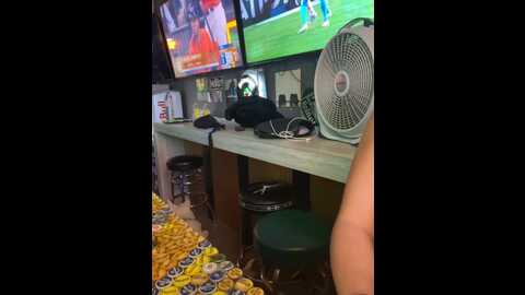 bigbuttbrooklynn @ stripchat on 20231023