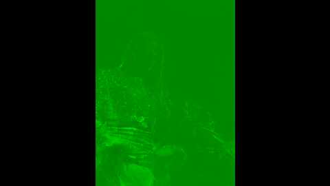 ___babier___ @ stripchat on 20231024
