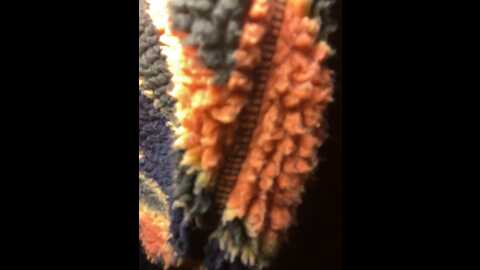 jasminesummer @ stripchat on 20231024