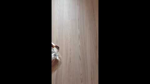 nathotsexy1 @ stripchat on 20231024