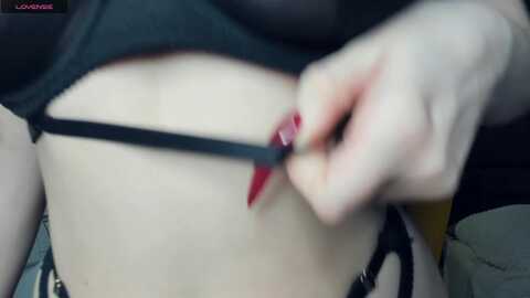 tefffish @ stripchat on 20231024