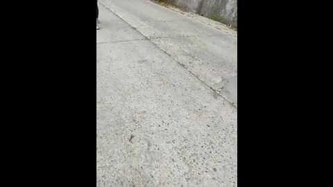 two_hot_cats_love @ stripchat on 20231024