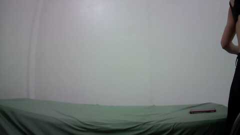 mailan_spa @ stripchat on 20231025