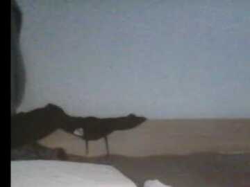 juliadusud @ stripchat on 20231026