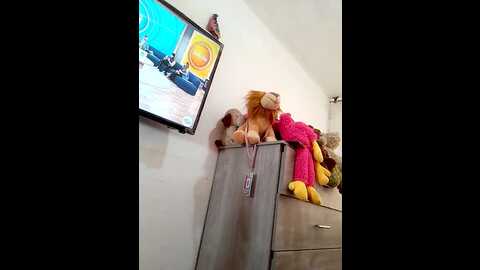 sofhi_a20 @ stripchat on 20231026