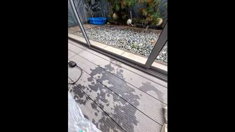 tattoogirlalia @ stripchat on 20231026