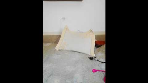 women_pleasures @ stripchat on 20231026