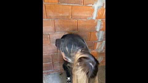 evit_blake @ stripchat on 20231029