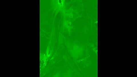 naughty_kimberly
