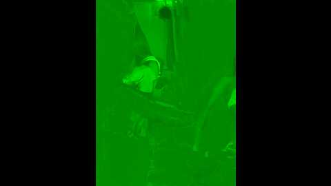 habiesex @ stripchat on 20231101