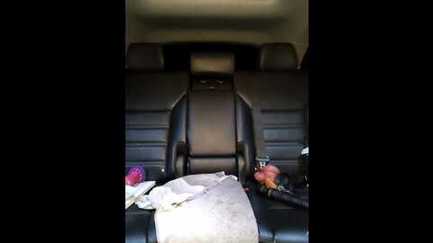 misses_cougar @ stripchat on 20231101