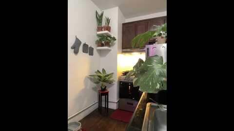 sexysagittarius @ stripchat on 20231101