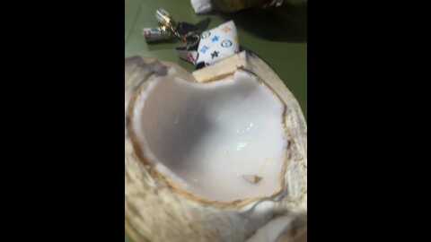 ___babier___ @ stripchat on 20231102