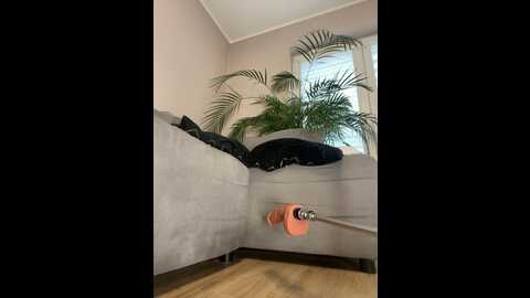 legslong @ stripchat on 20231103