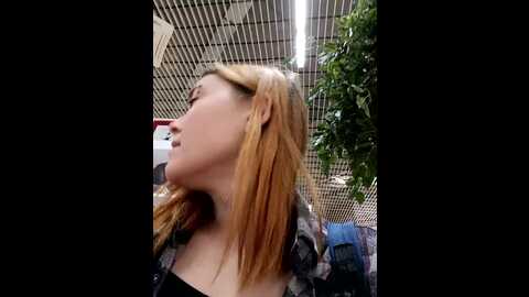 shine_diamond @ stripchat on 20231103