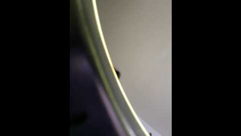 agathageorgiou @ stripchat on 20231105