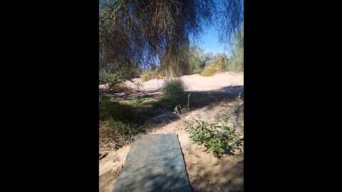 sheissomething @ stripchat on 20231105