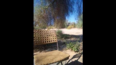 sheissomething @ stripchat on 20231105