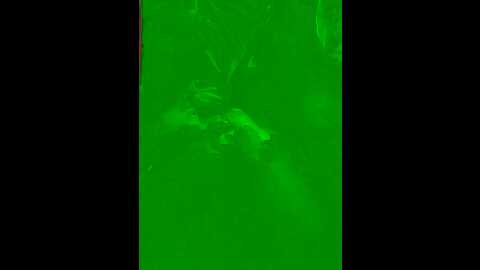 legitstepsister @ stripchat on 20231107