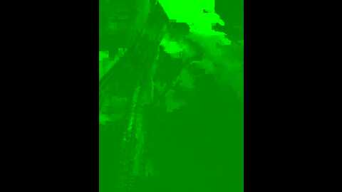 nalgonasex_ @ stripchat on 20231107