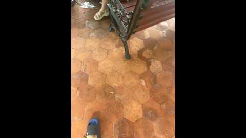 sam_18virg @ stripchat on 20231107