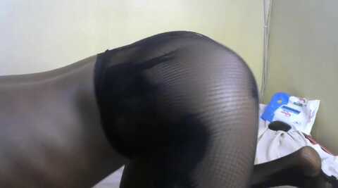 asstrina @ stripchat on 20231108