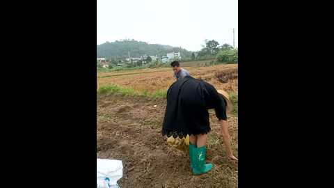 couple_fuck_toy @ stripchat on 20231108