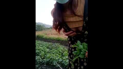 couple_fuck_toy @ stripchat on 20231108