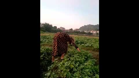 couple_fuck_toy @ stripchat on 20231108