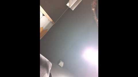 eveangelll @ stripchat on 20231108