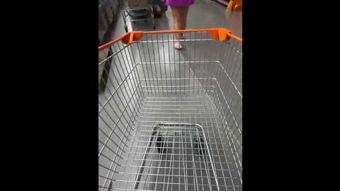 sammyqueenx21 @ stripchat on 20231108