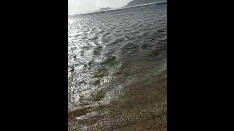 therealbeverlycious @ stripchat on 20231108