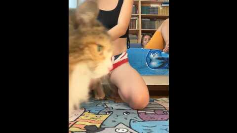your_karina @ stripchat on 20231108