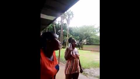 rediant_two256 @ stripchat on 20231109