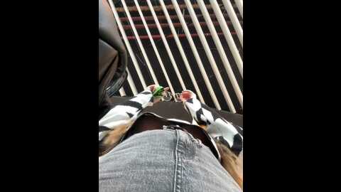 teya_moon_ @ stripchat on 20231109