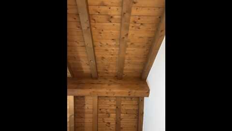 charly_ @ stripchat on 20231110