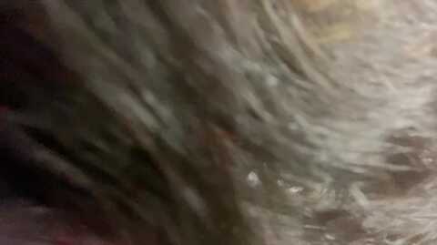 jamiya_islamiya @ stripchat on 20231110