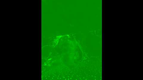 bettyangel @ stripchat on 20231112