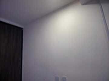 alirawrz @ stripchat on 20231113