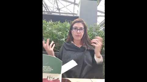 eveangelll @ stripchat on 20231113