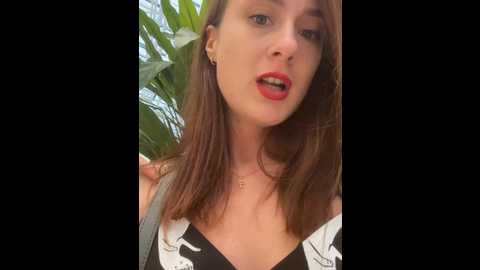 dina_tease @ stripchat on 20240919
