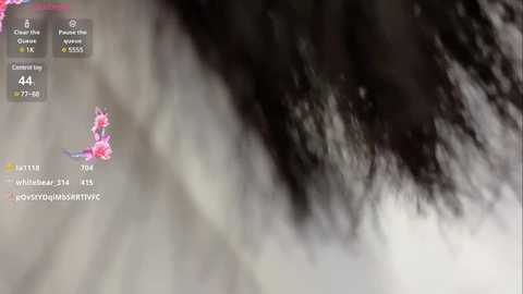 20_nova @ stripchat on 20240920