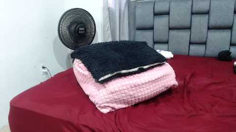 couple_gold69 @ stripchat on 20240920