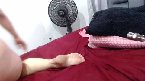 couple_gold69 @ stripchat on 20240920