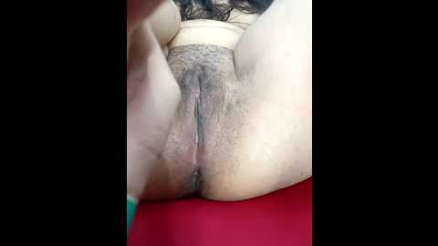 aachal_7 @ stripchat on 20240921