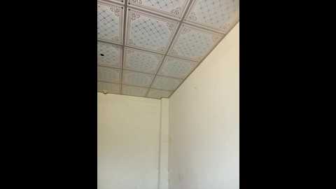 sonaly_ @ stripchat on 20240921