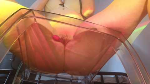 topsywilde @ stripchat on 20240921