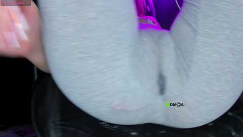 cameltoy_squirt_inpants @ stripchat on 20240922