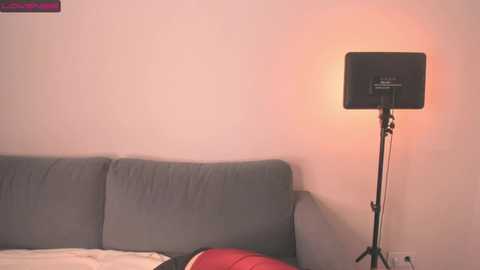 jin__ray @ stripchat on 20240922
